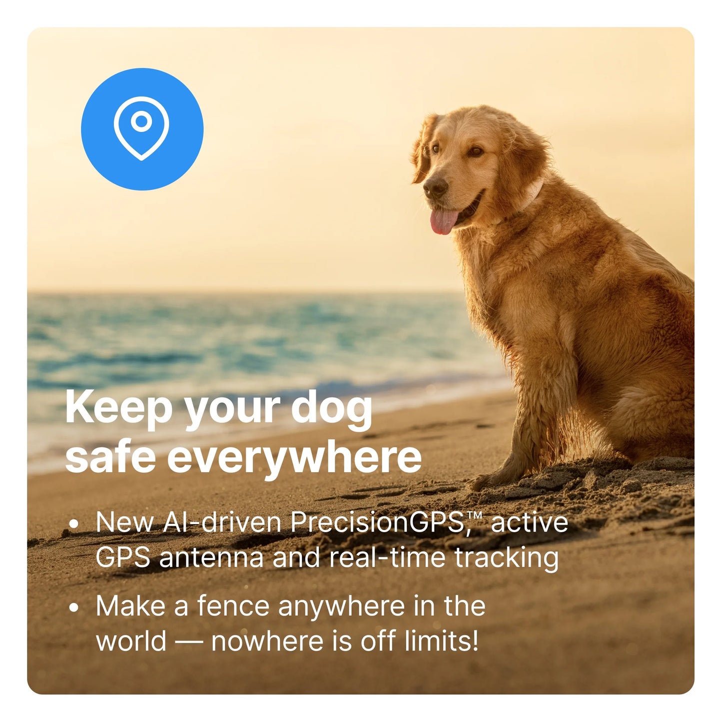 Halo Collar 3 – GPS Wireless Dog Fence & Smart Training Collar