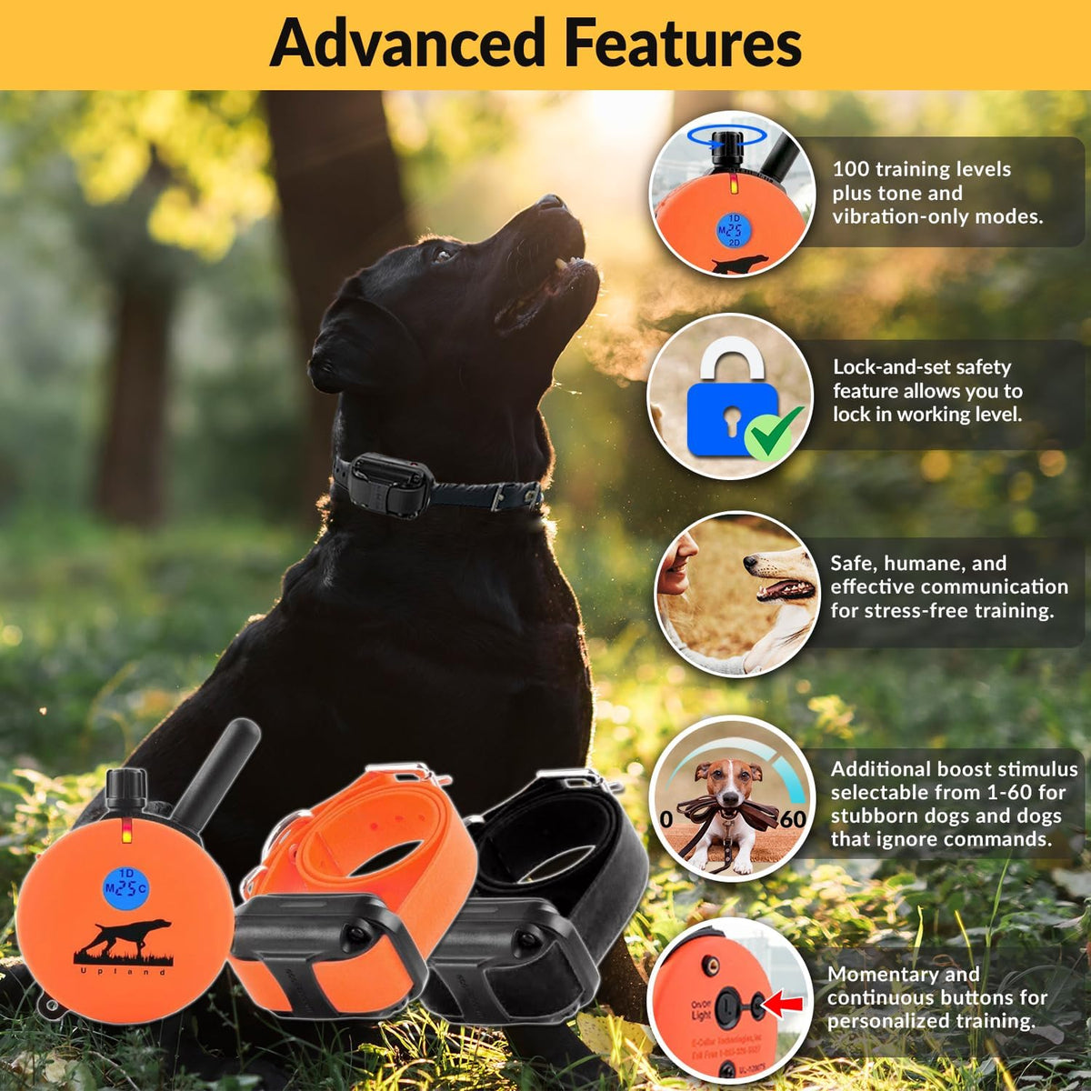 E-Collar  Upland Dog Training Collar, Orange, 2 Med/Large Dogs | 100 Levels of Safe Stimulation, 1 Mile Range, Waterproof & Rechargeable, Night Light, Includes Premium Finger Clicker