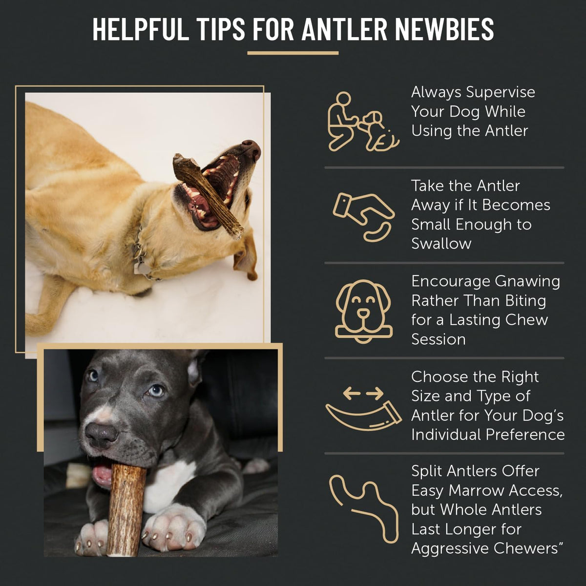 The Antler Box Premium Elk Antler Dog Chews (1 Pound Box) (Small (7-8 Pieces) Whole/Split Mixed)