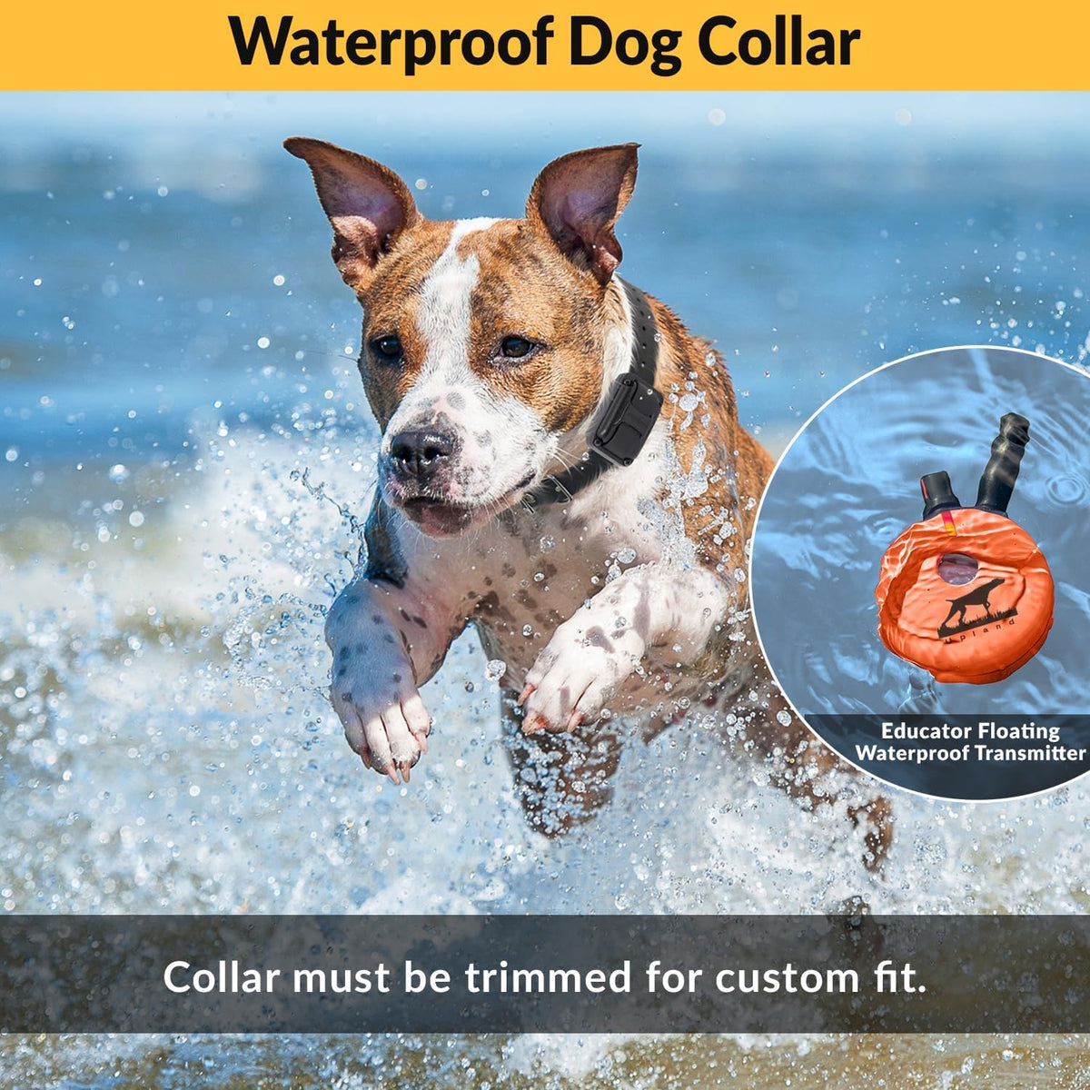 E-Collar  Upland Dog Training Collar, Orange, 2 Med/Large Dogs | 100 Levels of Safe Stimulation, 1 Mile Range, Waterproof & Rechargeable, Night Light, Includes Premium Finger Clicker