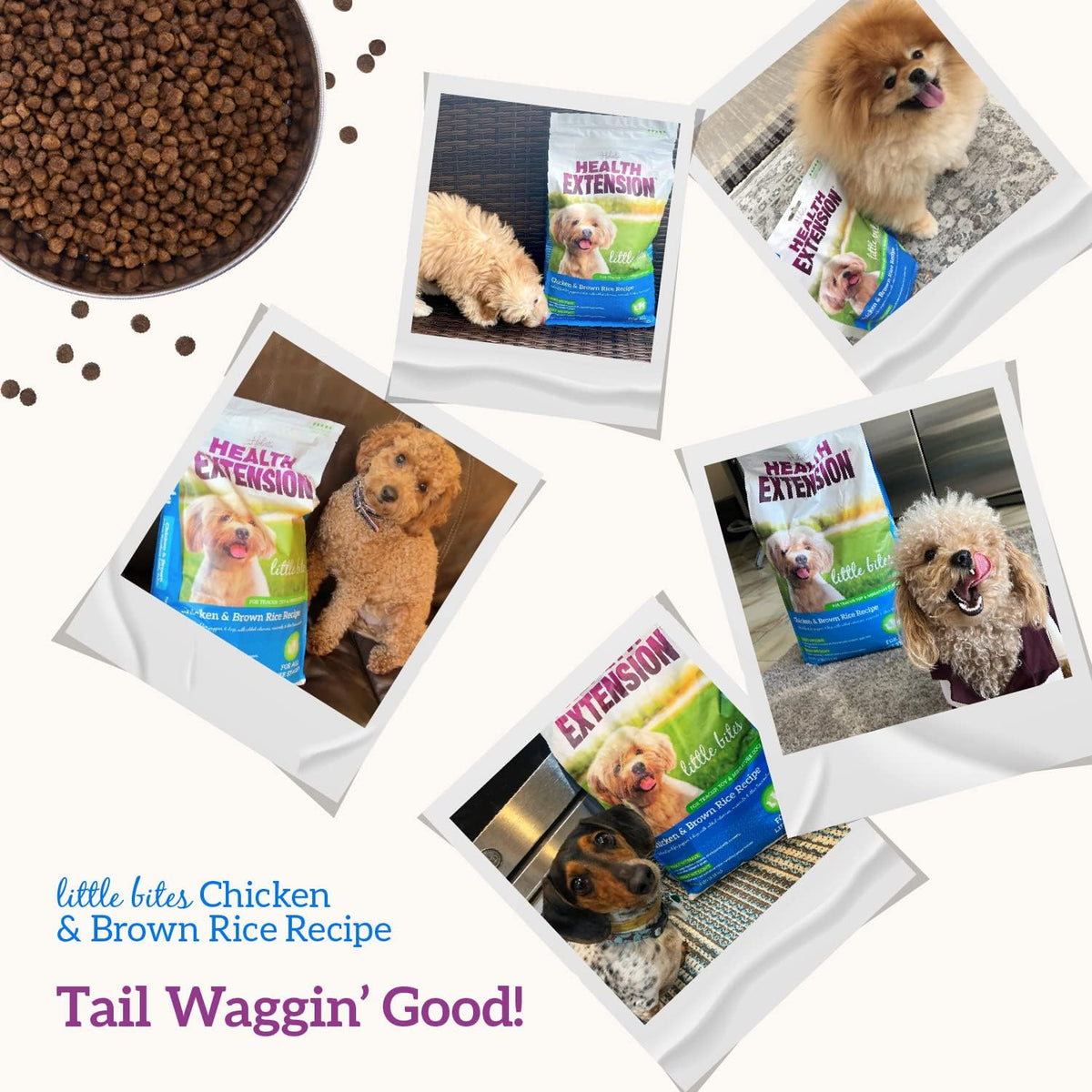 Little Bites Dry Dog Food for Toy and Small Breeds, Chicken & Brown Rice Recipe, with Probiotics & Superfoods for Digestion & Coat Health, 4 Lb Bag