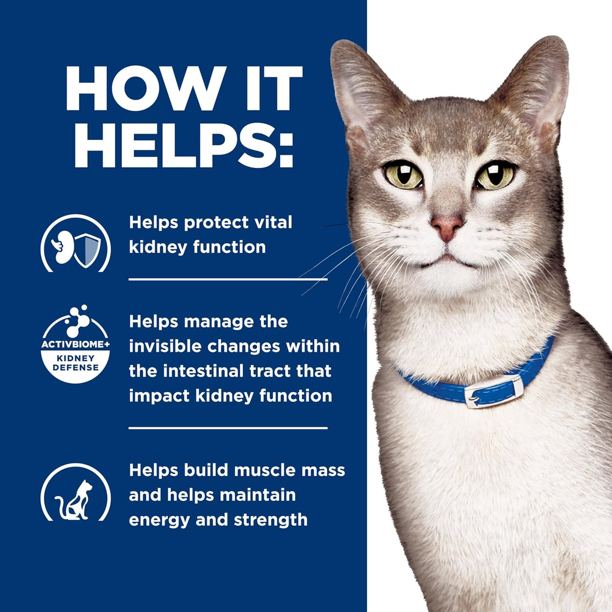 Hill'S Prescription Diet K/D Kidney Care Dry Cat Food | #1 Veterinarian Recommended, Ocean Fish Recipe, 4 Lb. Bag