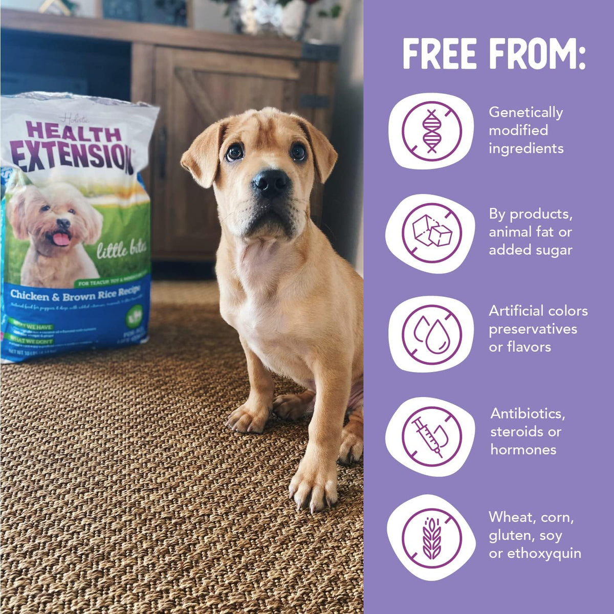 Little Bites Dry Dog Food for Toy and Small Breeds, Chicken & Brown Rice Recipe, with Probiotics & Superfoods for Digestion & Coat Health, 4 Lb Bag