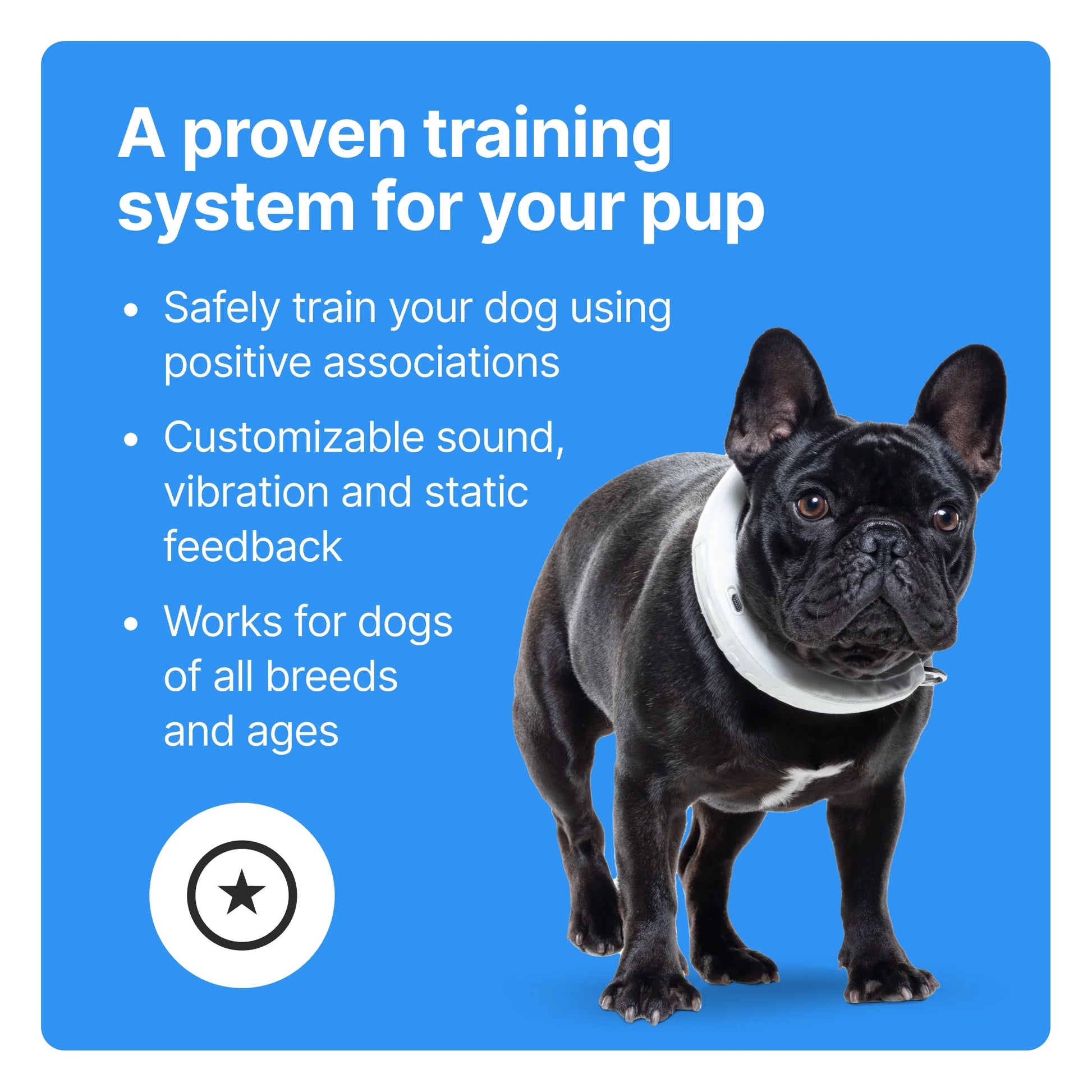 Halo Collar 3 – GPS Wireless Dog Fence & Smart Training Collar