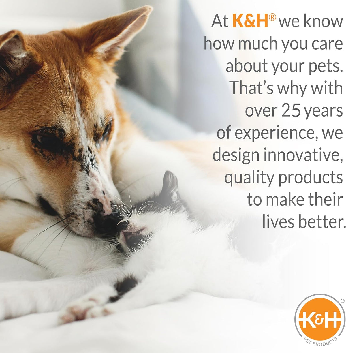 K&H Outdoor Elevated Dog Bed for Medium & Large Pets, Chocolate, 42X30In