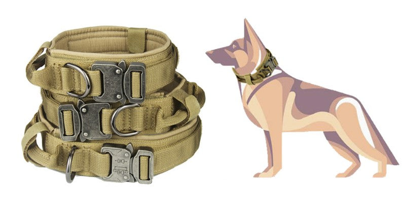 Heavy-Duty Tactical Dog Collar
