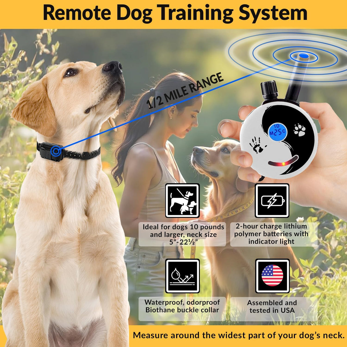 E-Collar Mini  ET-300 Remote Dog Training Collar, ZEN | 1/2 Mile Range, Waterproof & Rechargeable, 100 Levels + Vibration + Tone + Light, for 1 Dog Small to Medium