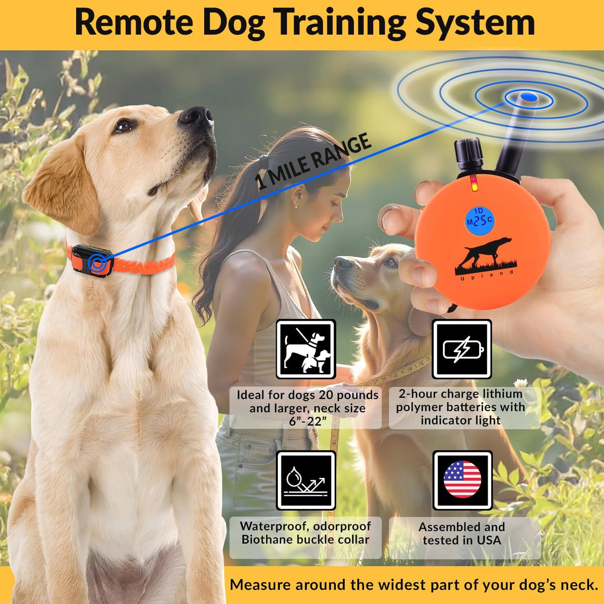 E-Collar  Upland Dog Training Collar, Orange, 2 Med/Large Dogs | 100 Levels of Safe Stimulation, 1 Mile Range, Waterproof & Rechargeable, Night Light, Includes Premium Finger Clicker